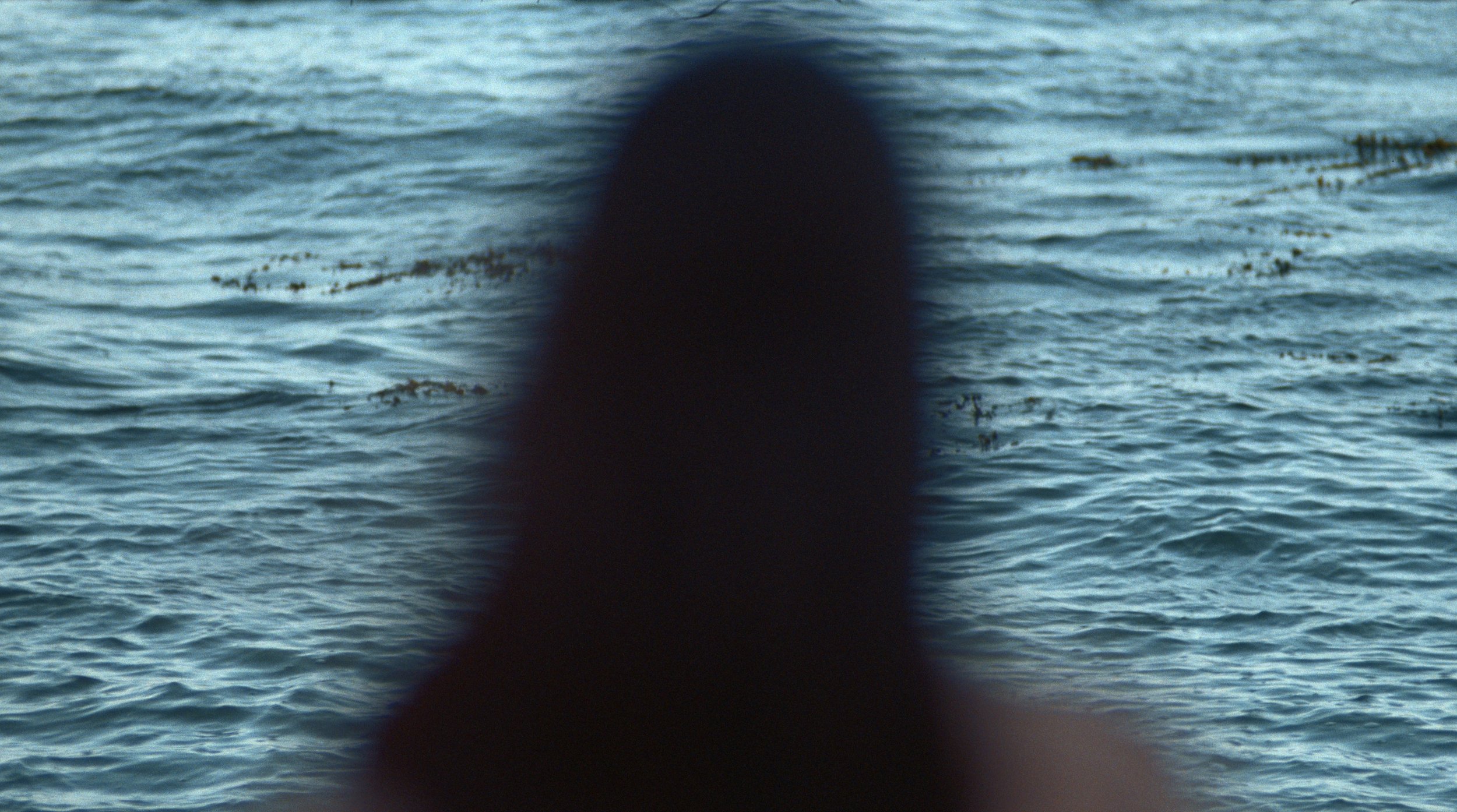 Crabdance — still 5
